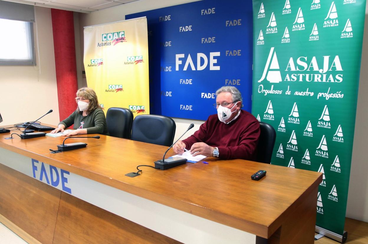 Mercedes Cruzado y Ramón Artime, líderes de Coag y Asaja respectivamente, anunciando la movilización. 