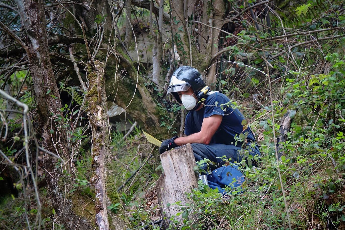 Un hombre de 55 años falleció este viernes en la localidad pongueta de Viboli cuando uno de los troncos con los que trabajaba cayó sobre él, golpeándole en la cabeza.