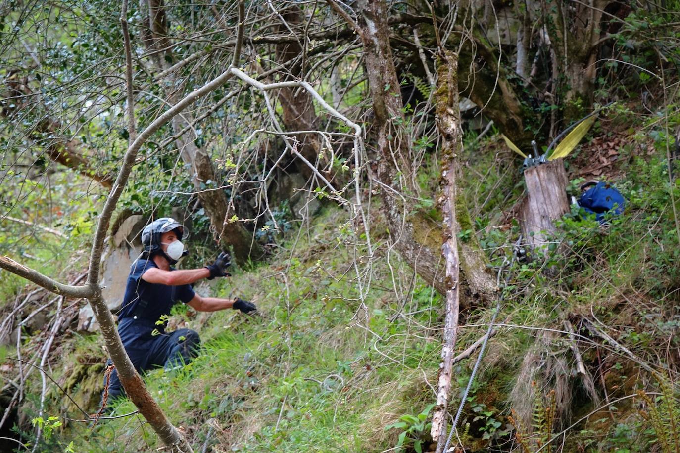 Un hombre de 55 años falleció este viernes en la localidad pongueta de Viboli cuando uno de los troncos con los que trabajaba cayó sobre él, golpeándole en la cabeza.