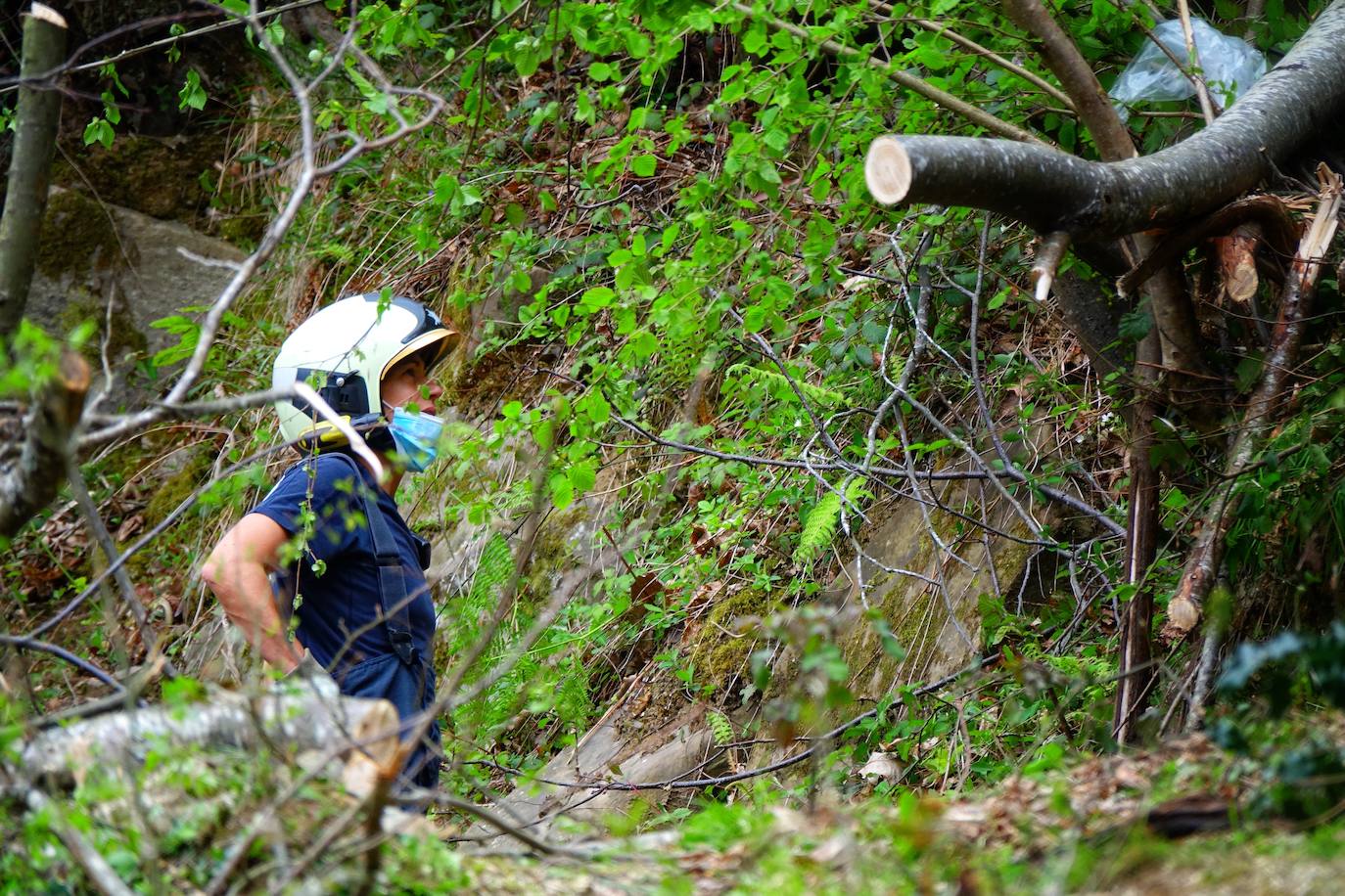 Un hombre de 55 años falleció este viernes en la localidad pongueta de Viboli cuando uno de los troncos con los que trabajaba cayó sobre él, golpeándole en la cabeza.
