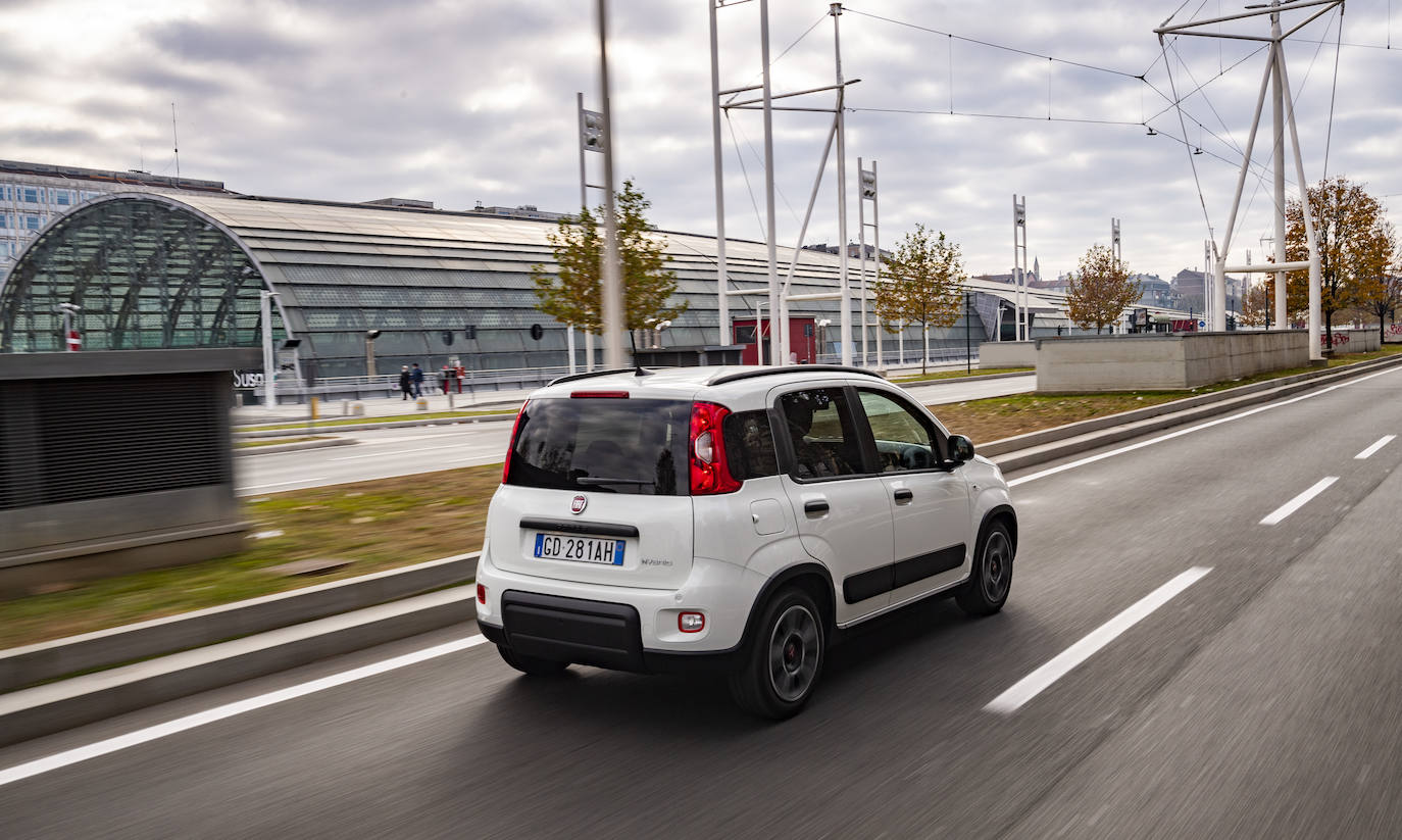 Fotos: Fotogalería: Fiat panda, un cuarentón a la última