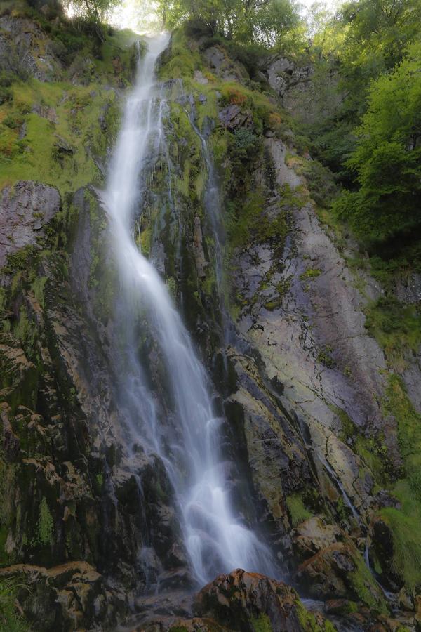 Tabayón del Mongallu: Este imponente salto de agua de unos 60 metros formado por la Riega Mongayo y situado al sur del concejo de Caso, en pleno Parque Natural de Redes, es un enclave con un gran valor natural y paisajístico. Solo hay que pararse a observar el paisaje que lo rodea, el cual tuvo su origen en la acción de los glaciares que cubrieron las zonas altas de la Cordillera hace unos veinte mil años. Concretamente  la cascada  se enmarca en la base de un gran circo glaciar excavado entre los picos de la Requexada y La Rasa. El alto valor faunístico también destaca en este espacio natural protegido, con especies como el oso pardo, el urogallo cantábrico, el alimoche, el águila real, ciervos, o rebecos, entre otros.