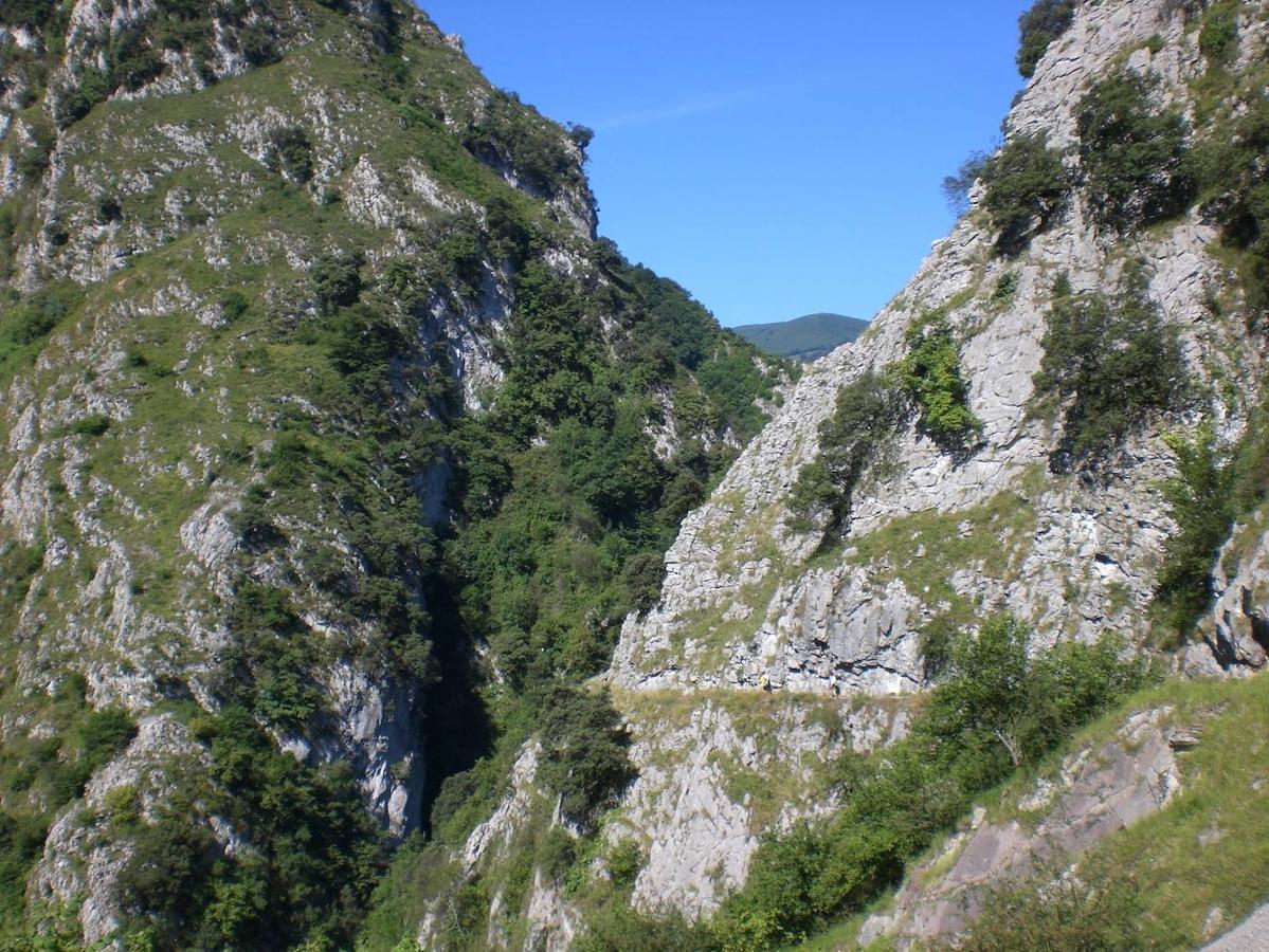 Desfiladero de Las Xanas: Esta singular formación geológica recorrida por el arroyo de su mismo nombre, es otro de los grandes atractivos paisajísticos asturianos, concretamente la masa boscosa que se conserva en el interior del desfiladero. Un bosque muy diverso repleto de avellanos, espineras, fresnos, tilos, arces, mostajos, olmos, hayas, alisos, zonas de matorrales, té de roca, orégano, tejos, encinas y madroños, entre otras. También destaca por la presencia de una gran variedad de aves como el avión roquero, el colirrojo tizón, chovas piquigualda y piquirroja, el águila real o el alimoche. Por este desfiladero además discurre  otra de las rutas más conocidas  y transitadas de Asturias, la cual fue tallada en la roca para conectar los pueblos de Pedroveya, Rebollada y Dosango con el valle de Trubia y cuyo trayecto de ida y vuelta puede hacerse en unas cuatro horas.