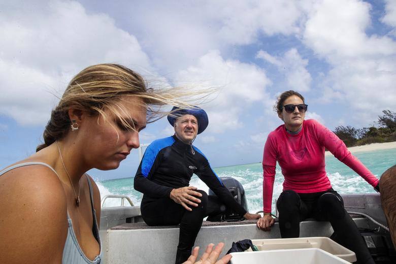 El cambio climático está causando el calentamiento de los océanos, la acidificación del medio ambiente marino y alteraciones en la pluviosidad, generando grandes pérdidas en la biodiversidad marina. Los investigadores se sumergen para la realización de análisis de corrientes y arrecifes.