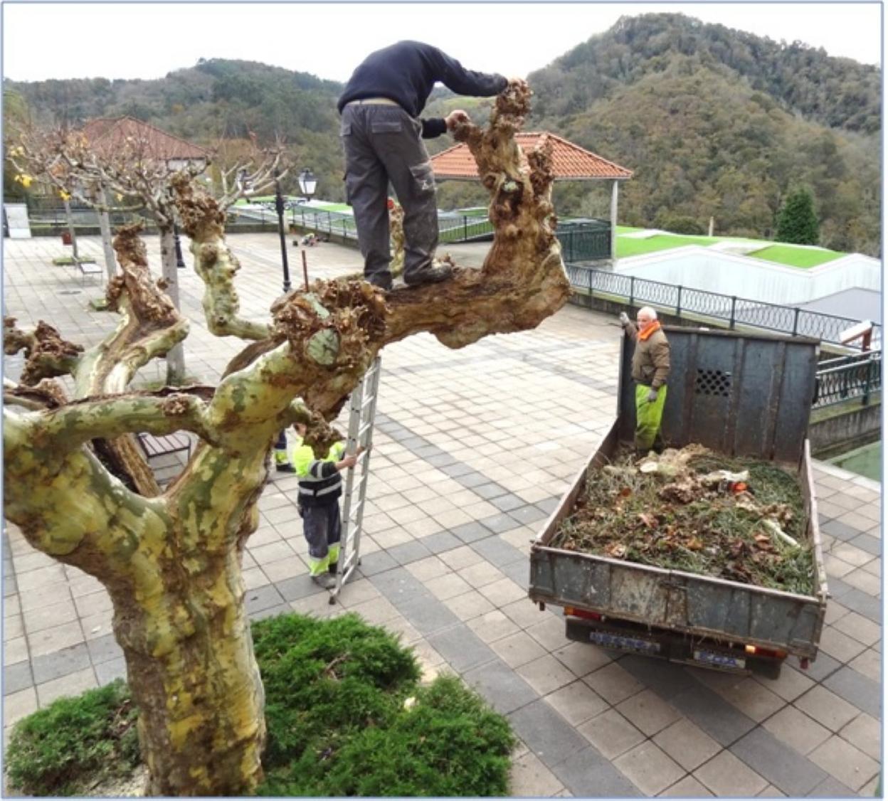 Actuación en la plaza del Emigrante con cargo al plan de inversiones. 