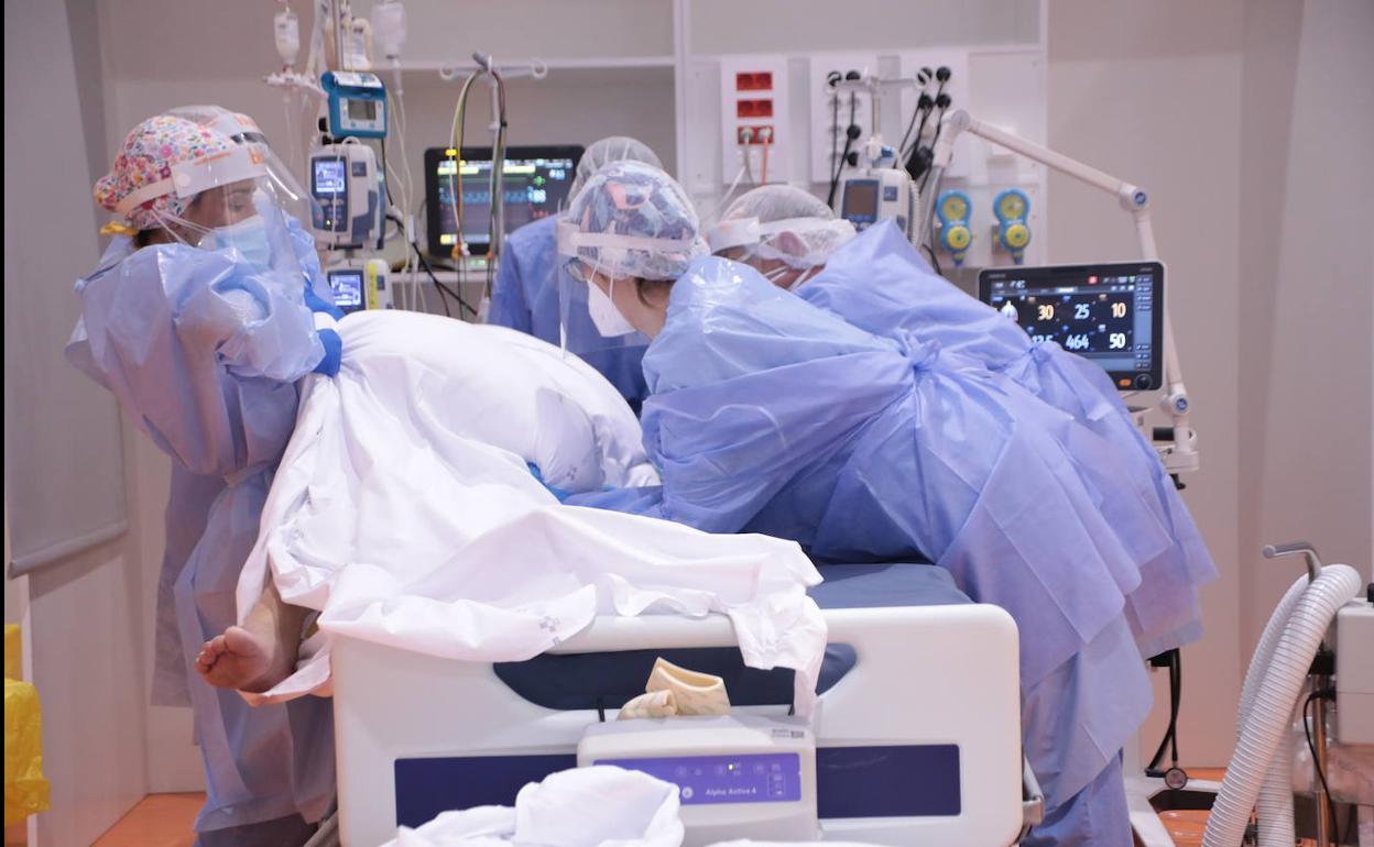 Profesionales sanitarios atienden a un paciente en la Unidad de Cuidados Intensivos que fue necesario habilitar en un gimnasio del HUCA.