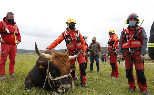 Galería. Participantes en el rescate, con 'Bolero'.