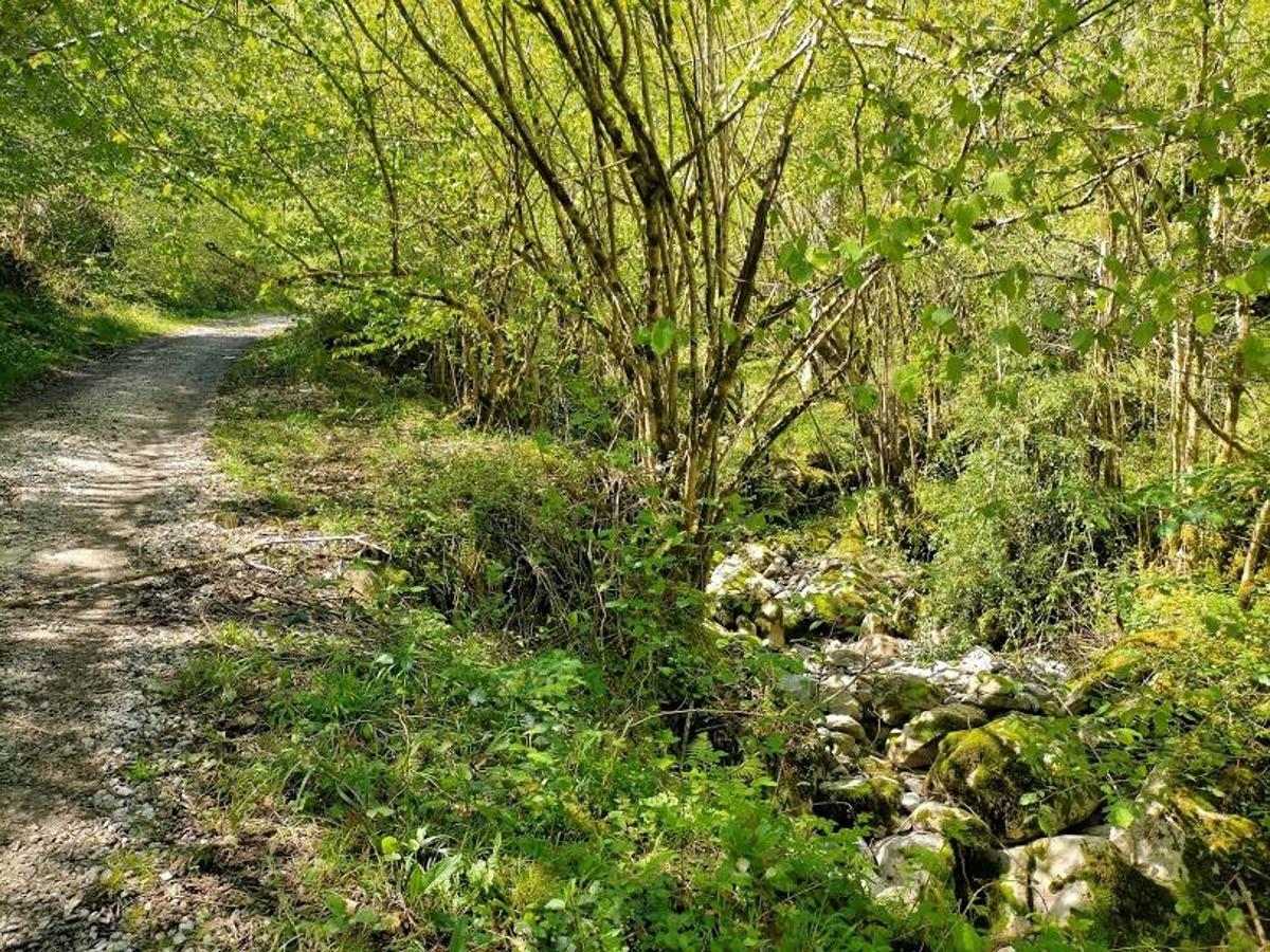 Fotos: Ruta el Porrón de Peña Blanca desde Cueva Deboyu