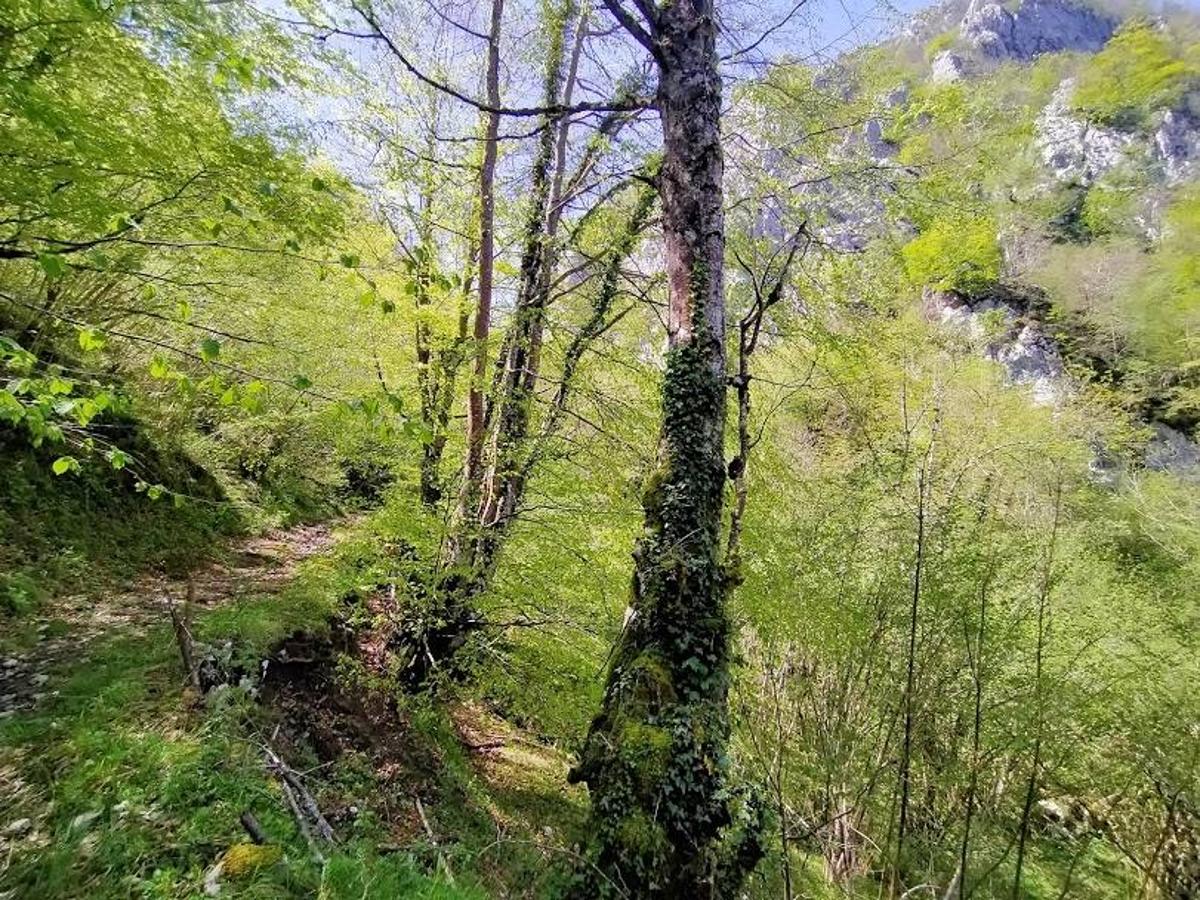 Fotos: Ruta el Porrón de Peña Blanca desde Cueva Deboyu