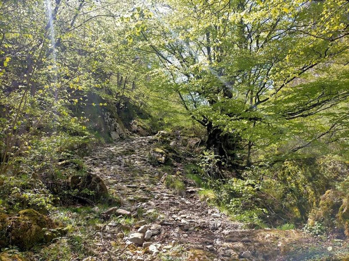 Fotos: Ruta el Porrón de Peña Blanca desde Cueva Deboyu