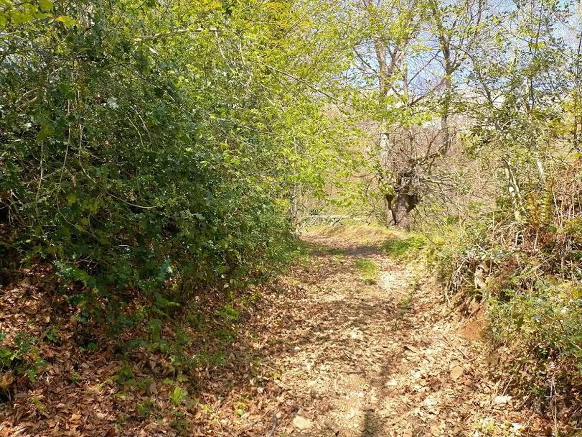 Fotos: Ruta el Porrón de Peña Blanca desde Cueva Deboyu