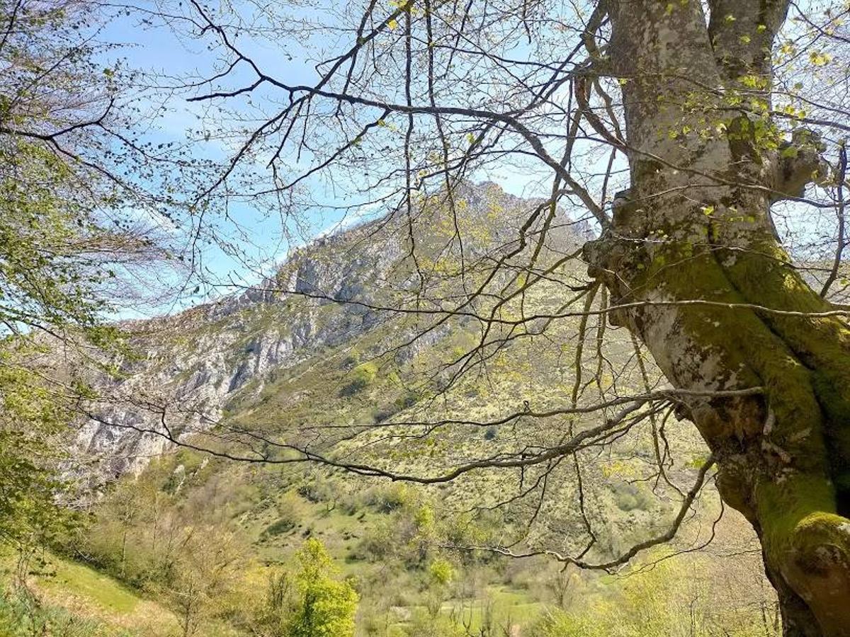 Fotos: Ruta el Porrón de Peña Blanca desde Cueva Deboyu