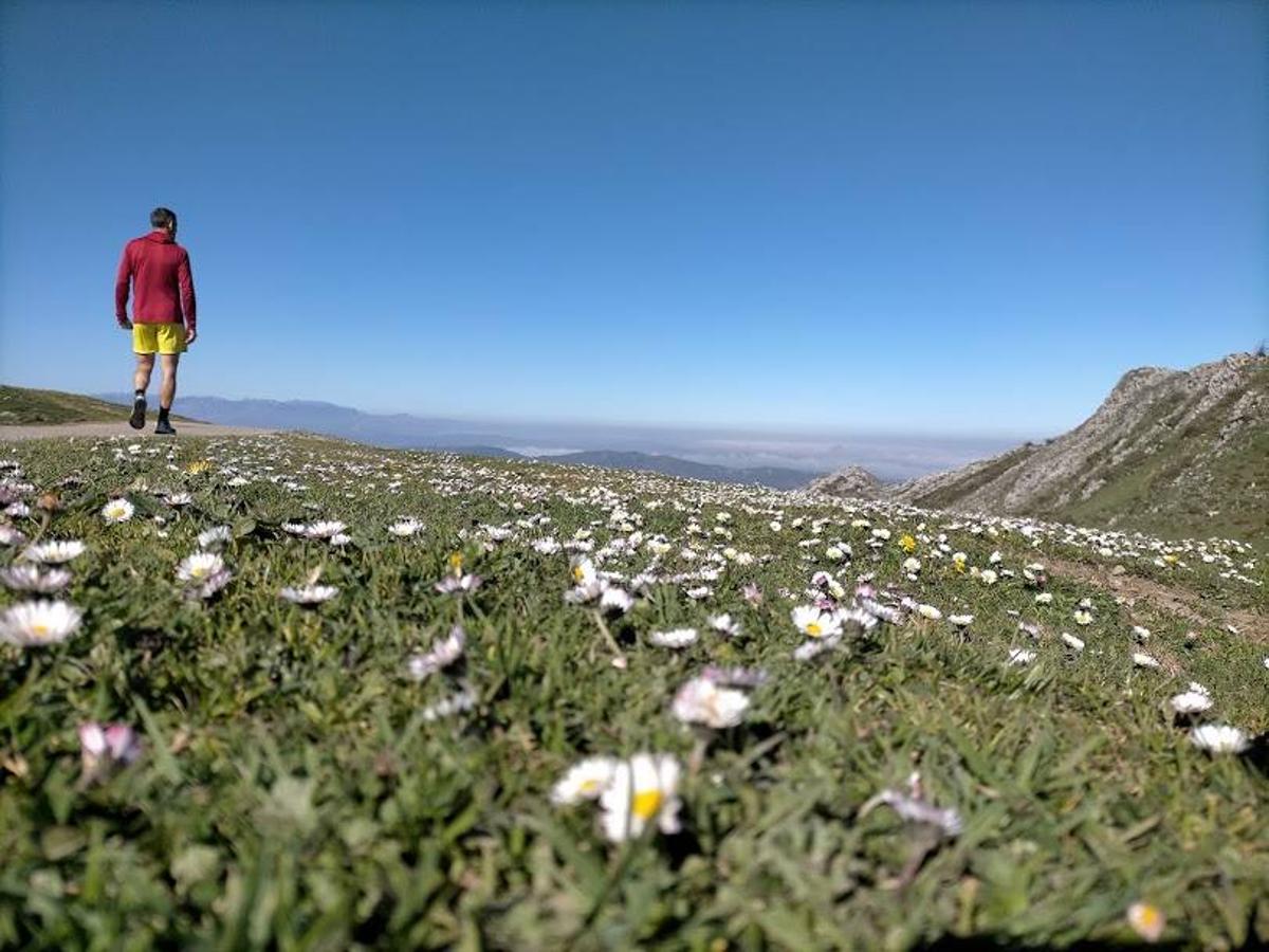 Tramo de la ruta a Peña Mayor.