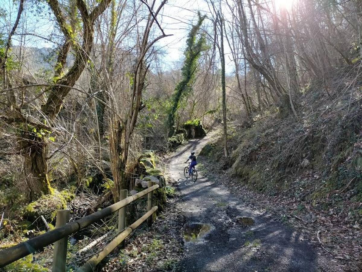 Tramo de la Senda del Oso hasta Cueva Huerta.