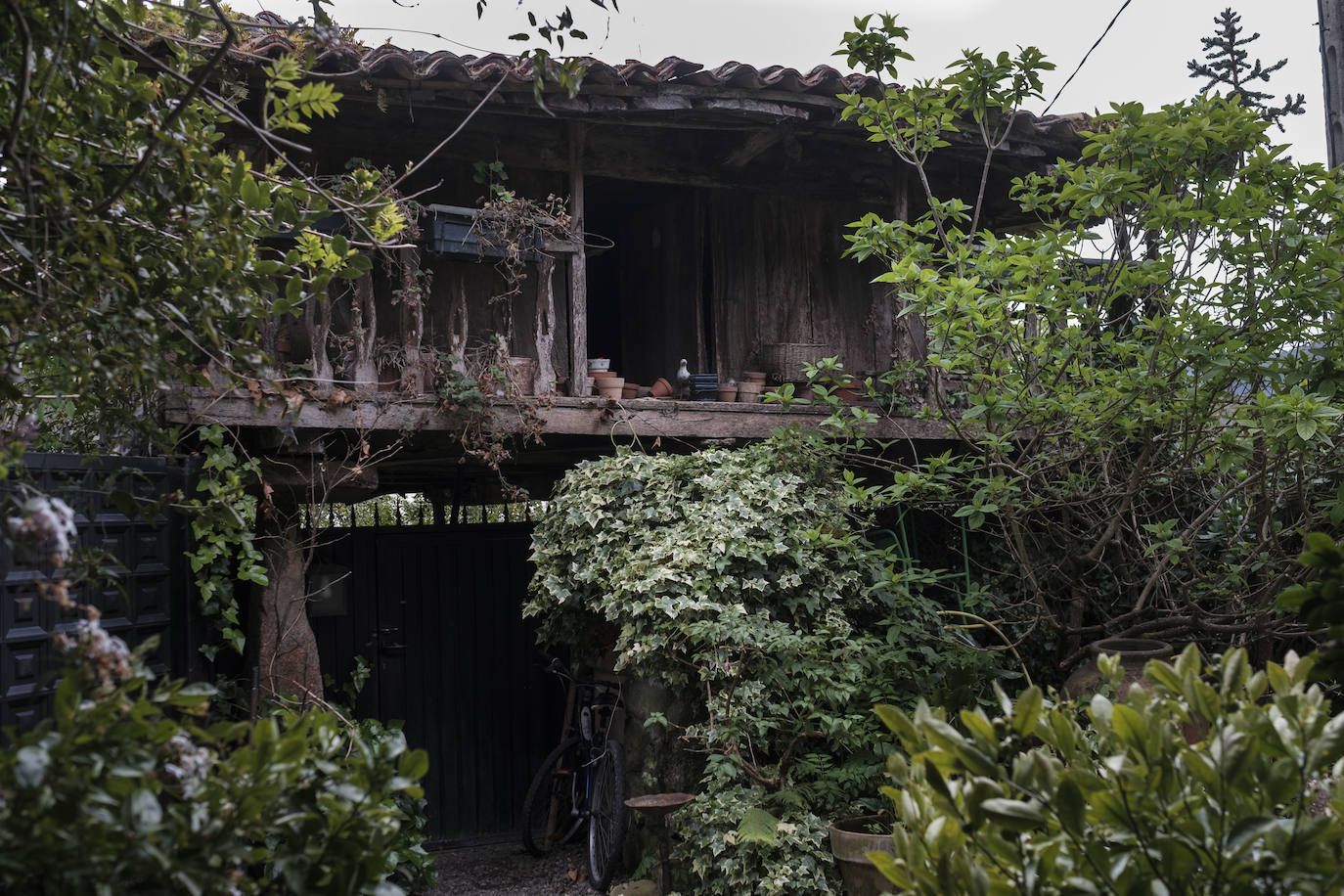 Simbiosis. La naturaleza asturiana en todo su esplendor y una cuidada decoración que combina varios estilos se fusionan en esta vivienda ubicada en un valle del concejo de Villaviciosa