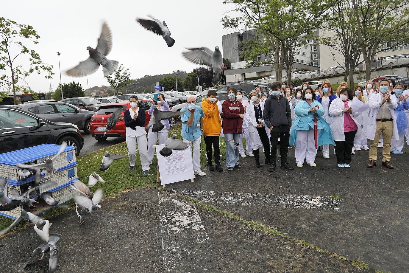 El Hospital Central de Asturias y el de Cabueñes celebraron este jueves 13 de mayo el Día del niño hospitalizado, con la presencia de clowns y la suelta de palomas.