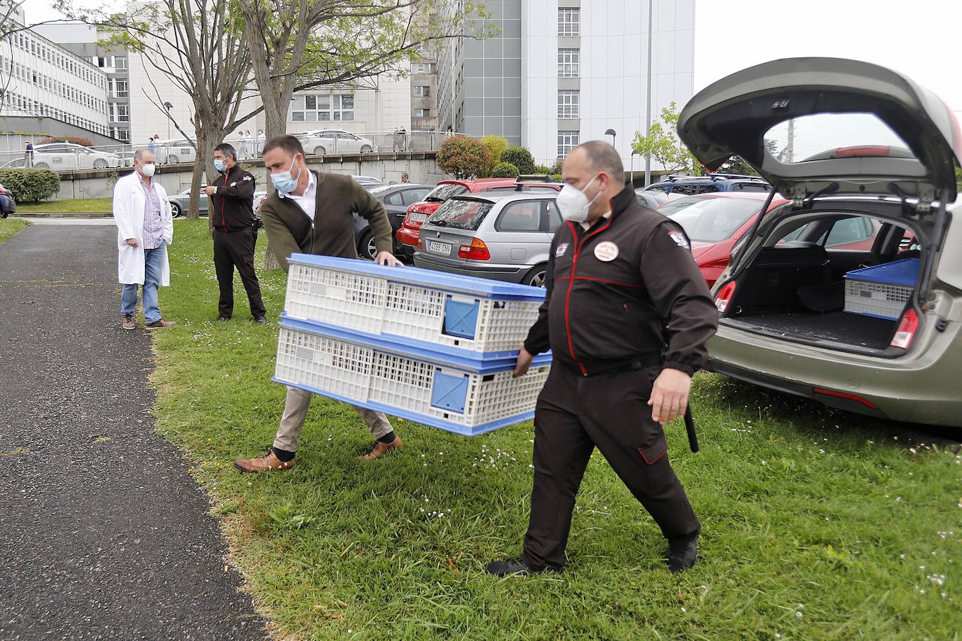 El Hospital Central de Asturias y el de Cabueñes celebraron este jueves 13 de mayo el Día del niño hospitalizado, con la presencia de clowns y la suelta de palomas.