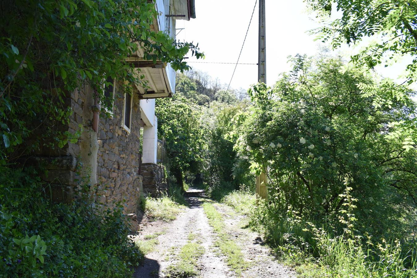 Fotos: Ruta al Pico Moros por el inicio de la Ruta les Fuentes