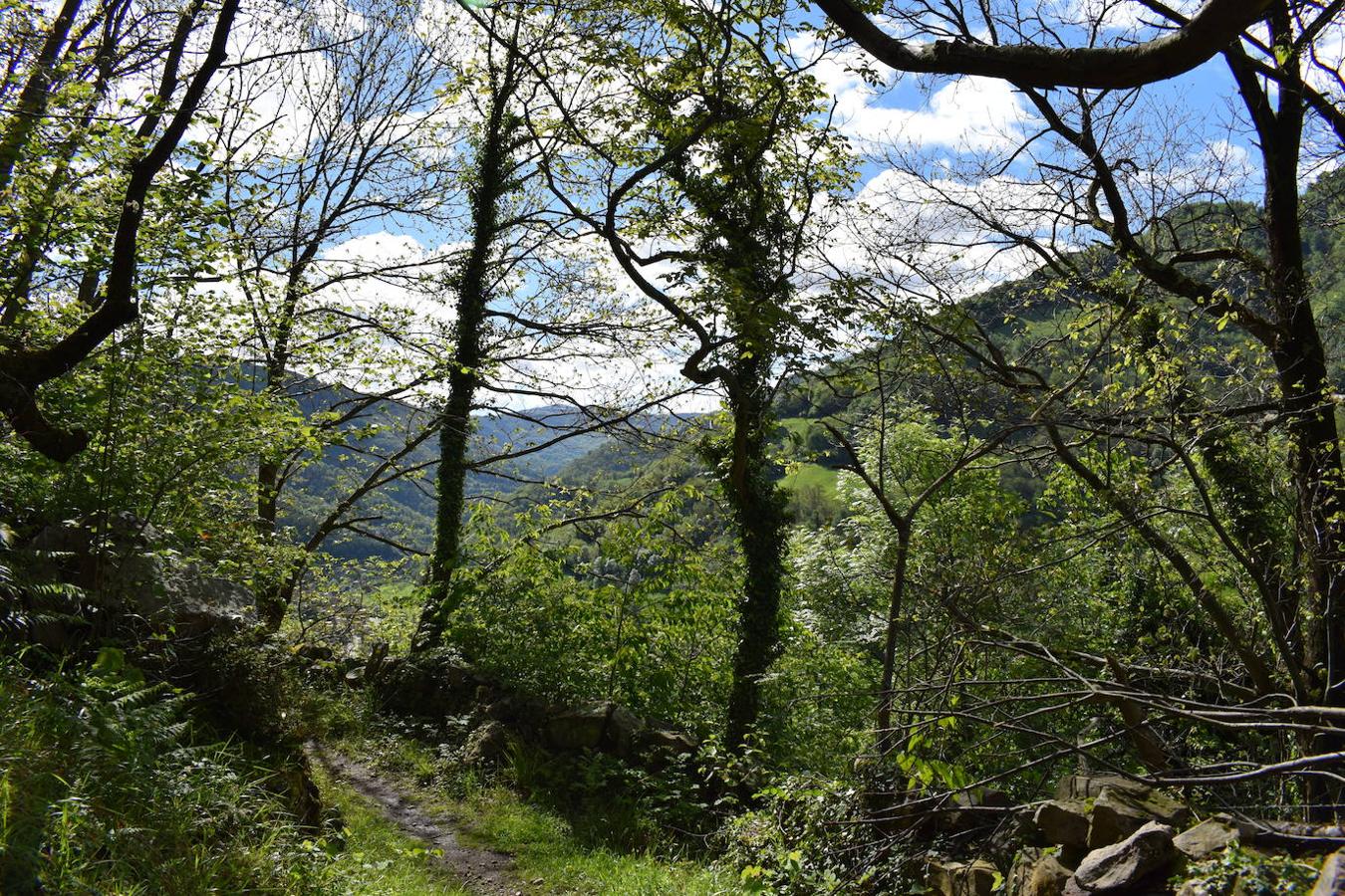 Fotos: Ruta al Pico Moros por el inicio de la Ruta les Fuentes