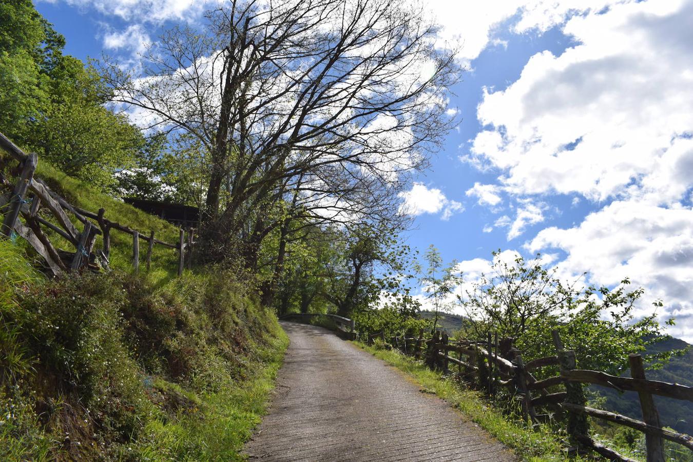 Fotos: Ruta al Pico Moros por el inicio de la Ruta les Fuentes