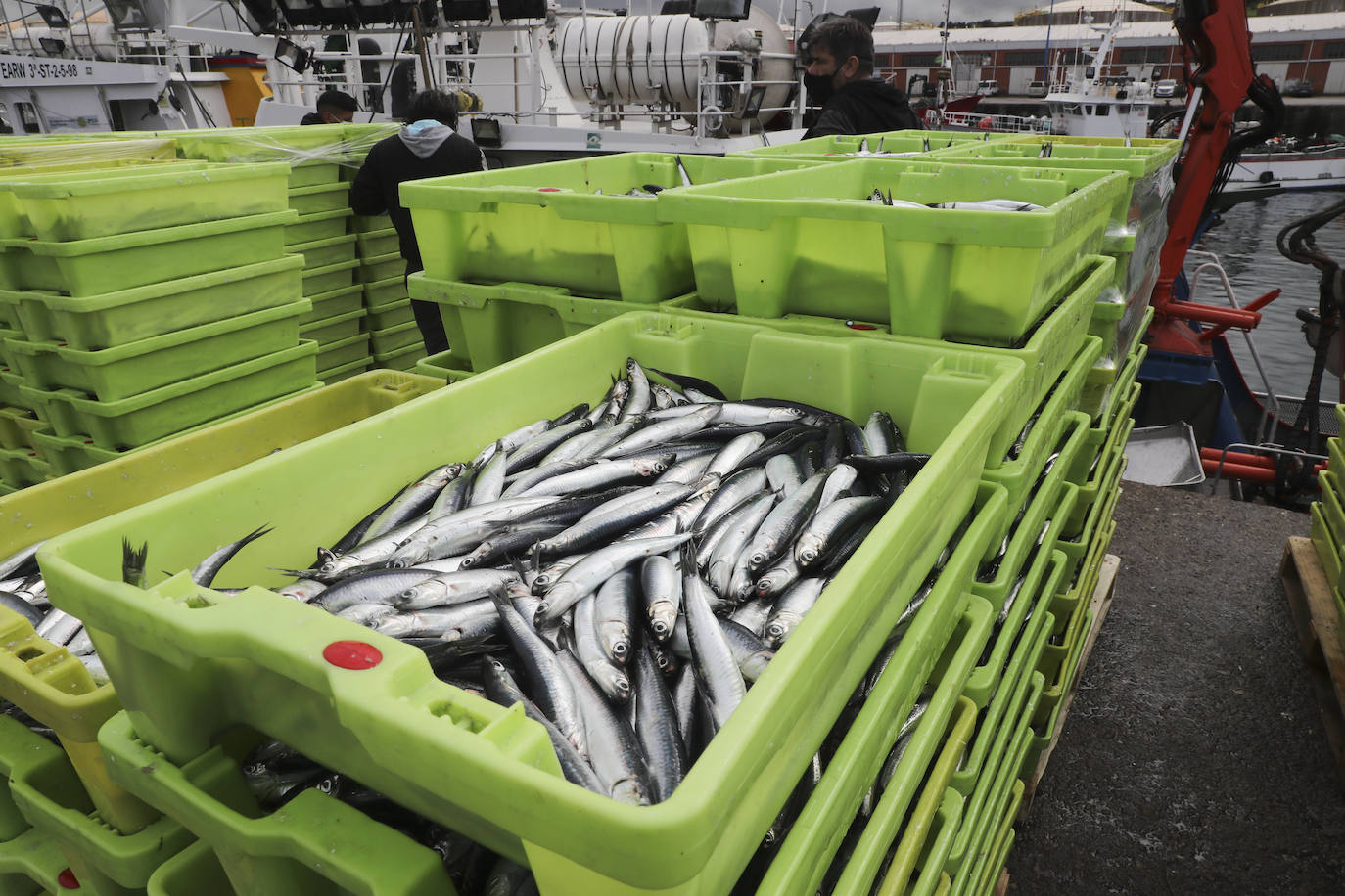 Más de ochenta barcos de toda la flota cantábrica hicieron cola en los muelles del Rendiello para descargar sus capturas.