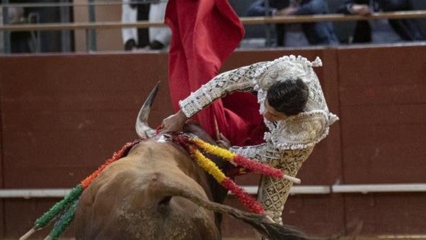 El sexto toro prende a Pablo Aguado en el momento de enterrar la estocada. 