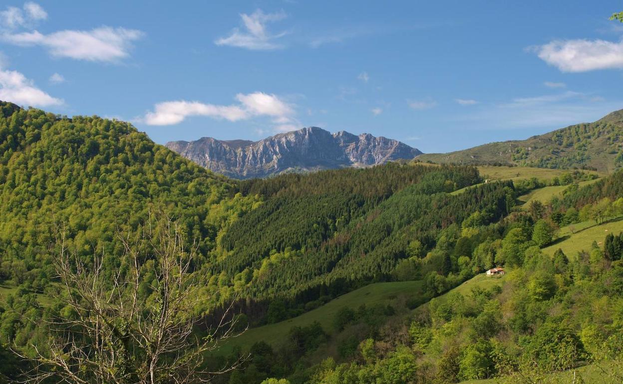 Vistas de la ruta por el Bosque de Cea que realizará este sábado la Agrupación Deportiva de La Curuxa. 