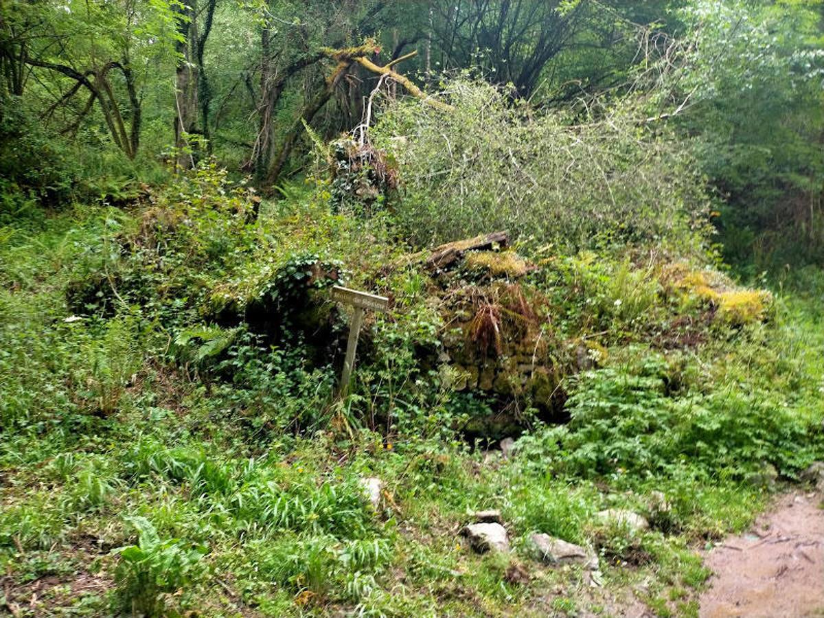 Fotos: El paisaje mágico de los Molinos del Río Profundu