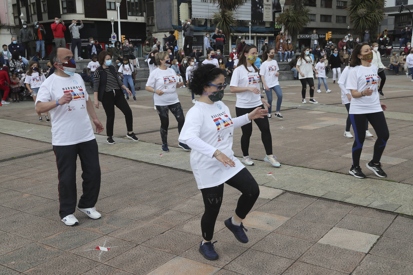 La ONG Harambee Asturias ha reunido a un nutrido grupo de personas en los Jardines del Náutico, en Gijón, para participar en el flashhmob 'Todos a una', cuyo objetivo es concienciar sobre la prevención y la lucha contra el SIDA en África. 