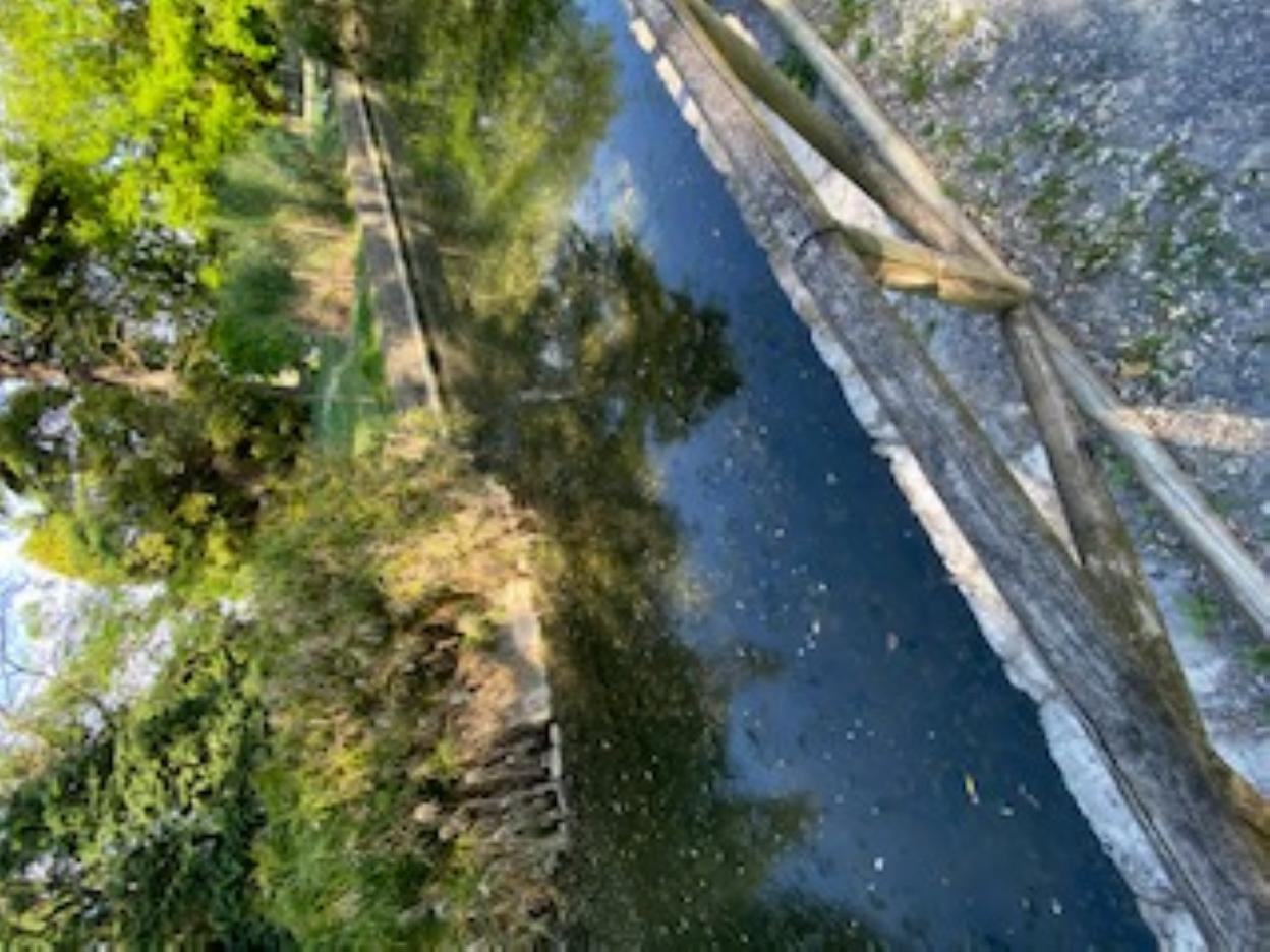 Ramas y sedimentos en los canales del parque. 