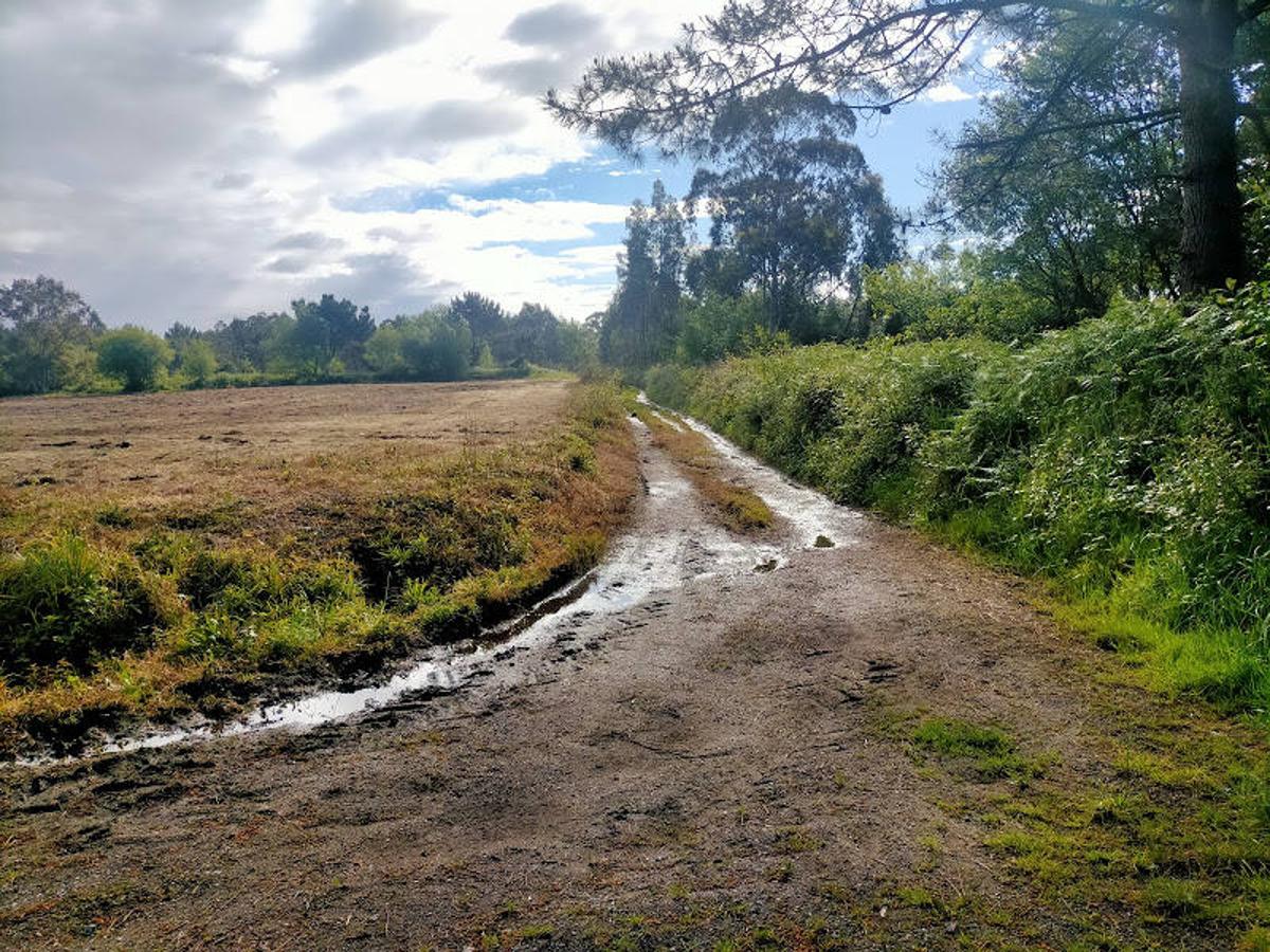 Fotos: Ruta a los dólmenes del Monte Areo