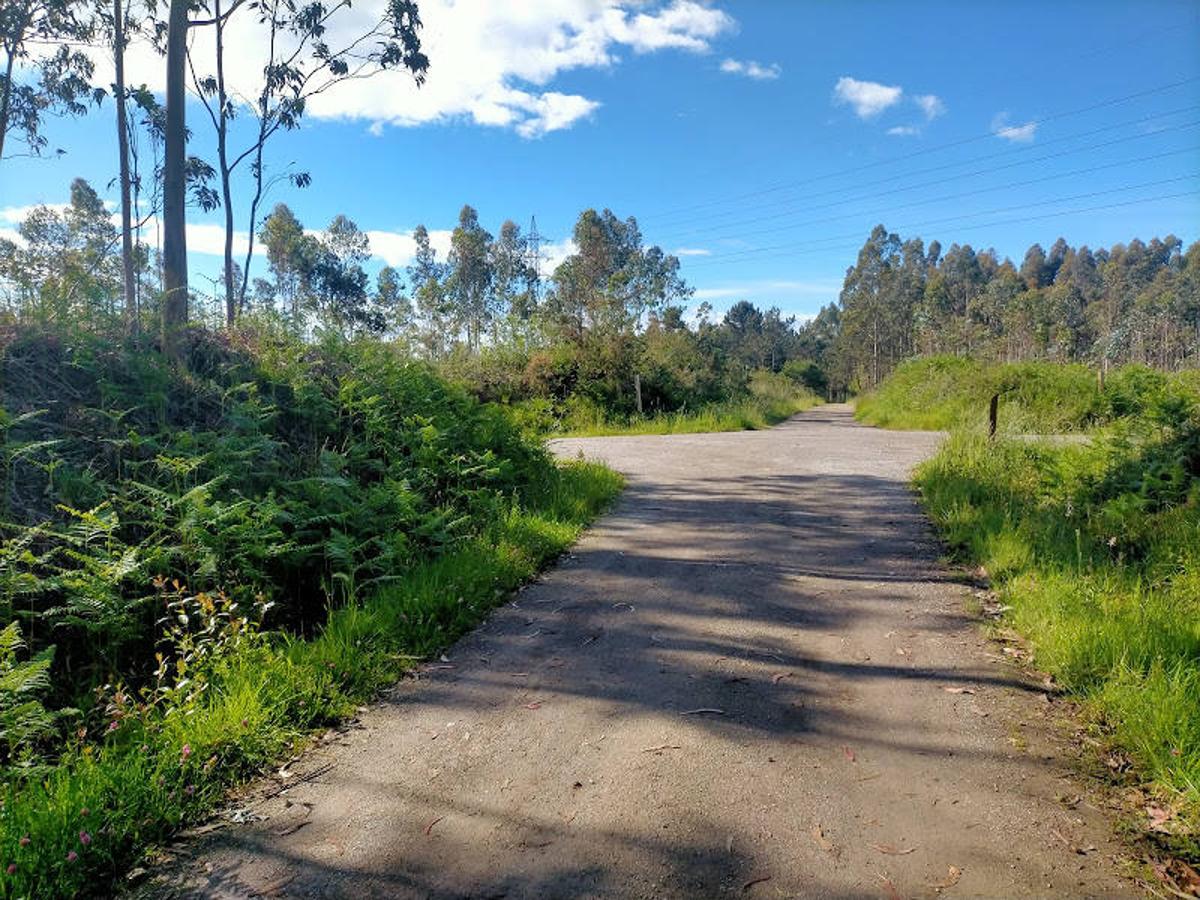 Fotos: Ruta a los dólmenes del Monte Areo