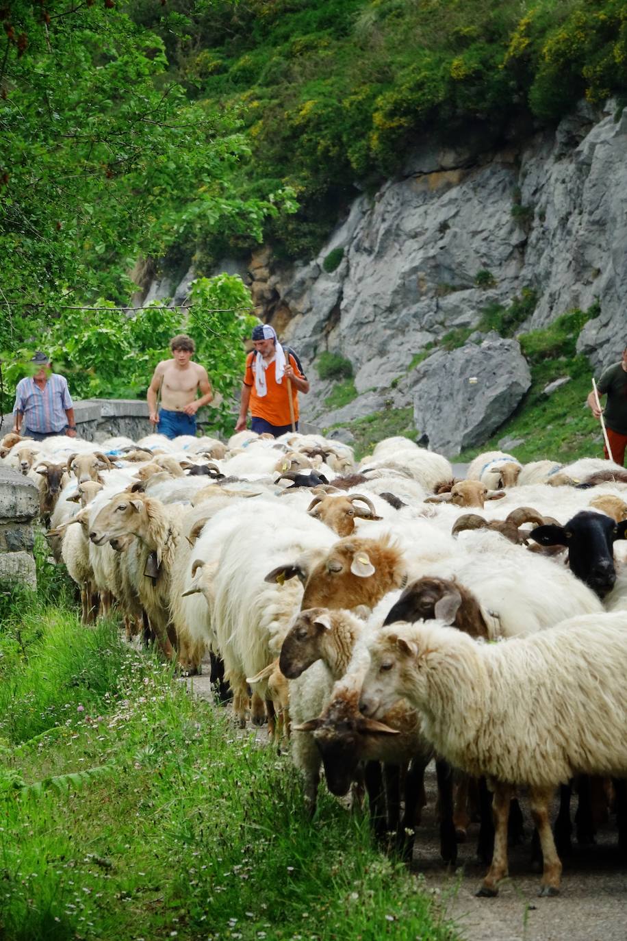Como cada 1 de junio, los pastores ponen rumbo a los pastos de montaña, donde permanecerán hasta el otoño cuidando de sus animales y elaborando queso.