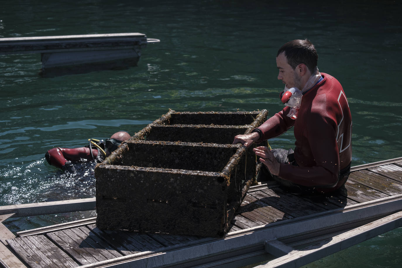 Con motivo del Día Mundial del Medioambiente, una veintena de buzos voluntarios procedió a retirar los residuos del fondo marino de la dársena interior del Puerto Deportivo de Gijón. Llegaron a sacar a tierra baterías, carros de la compra y hasta una bicicleta.
