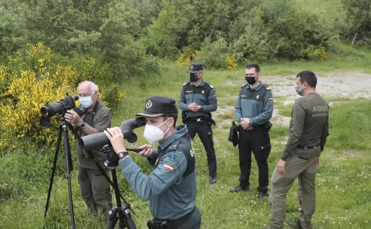 El factor sorpresa, clave en todos los ataques del oso | El Comercio:  Diario de Asturias