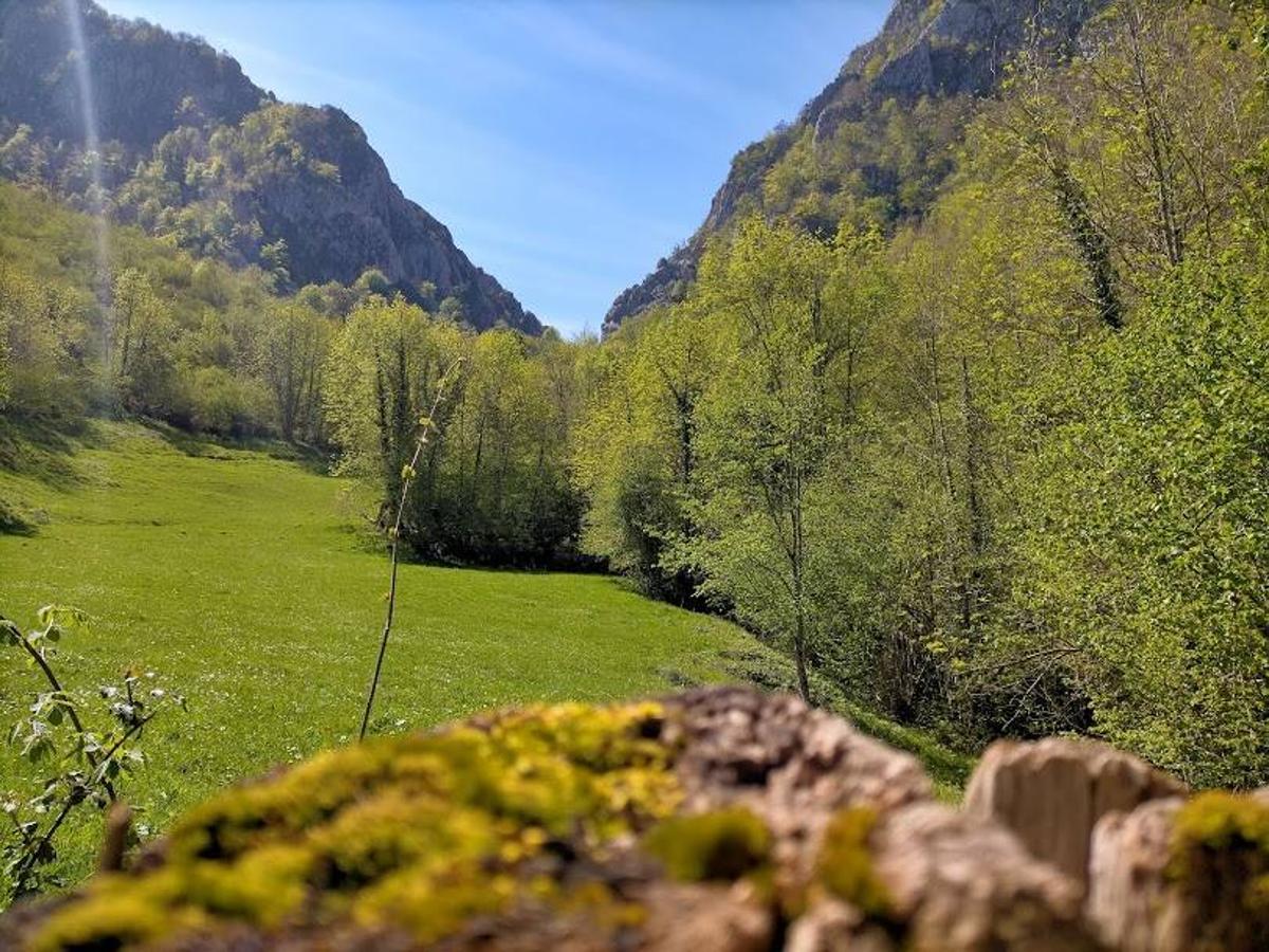 Vistas a la Foz del Cebatón en la ruta al  Porrón de Peña Blanca . 