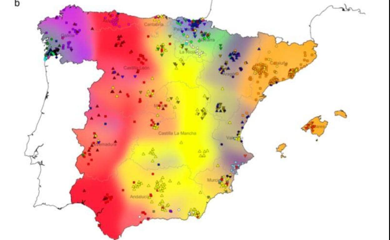 Mapa genético de la Península Ibérica realizado en el estudio 'Patrones de diferenciación genética y huellas de las migraciones históricas en la Península Ibérica' 