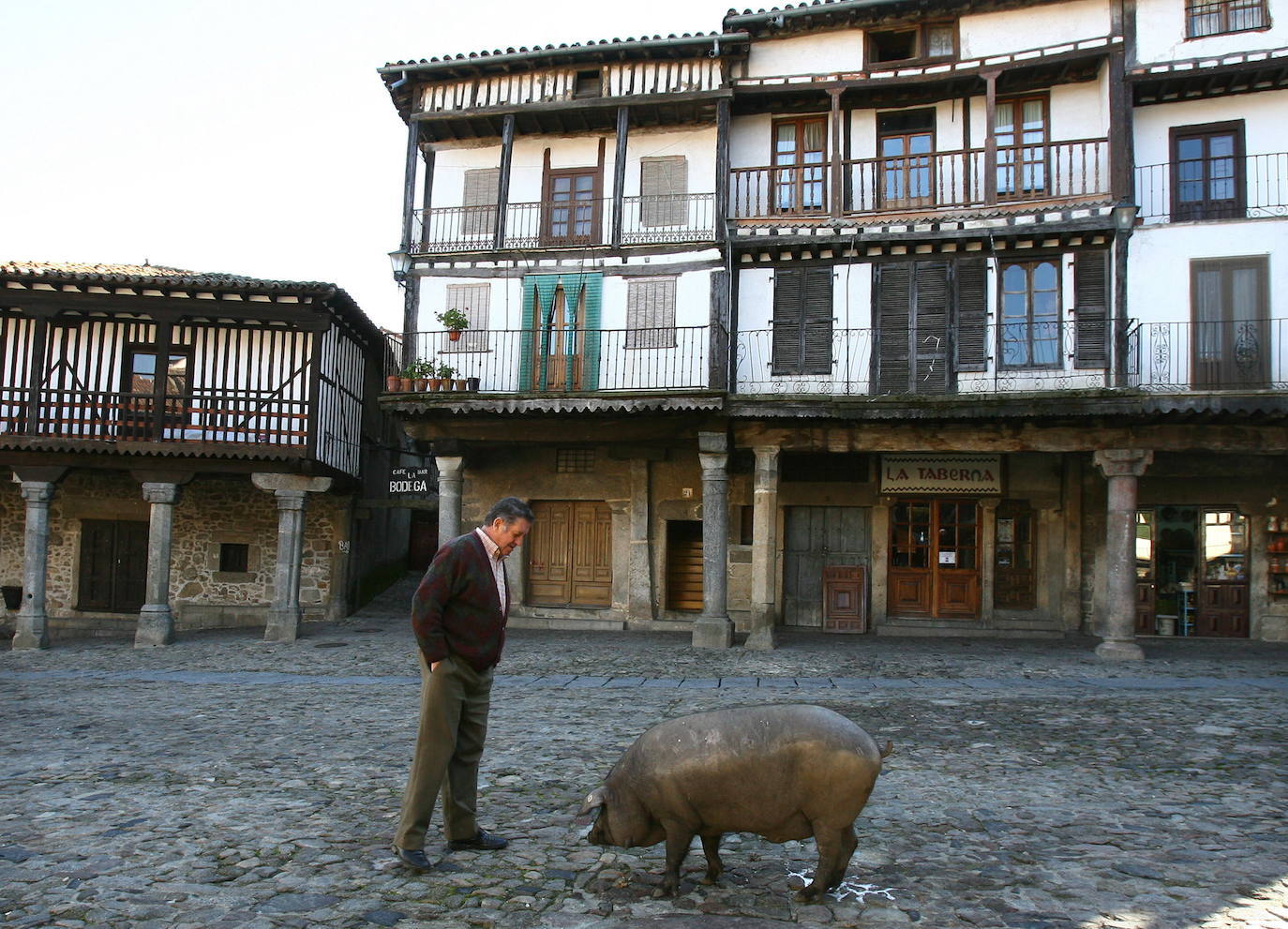 La Albrerca, Salamanca