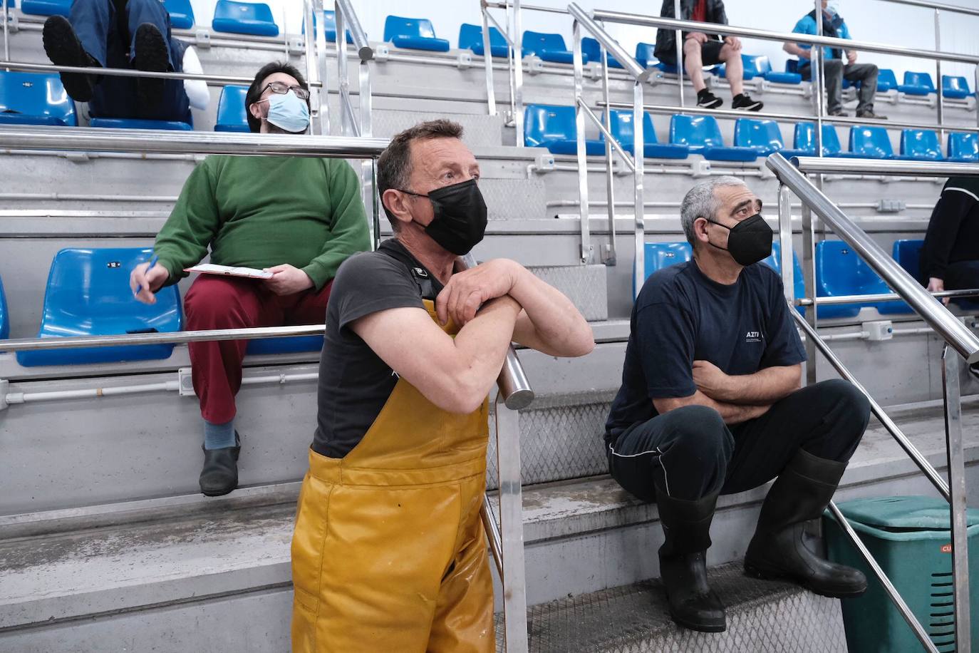 El primer bonito subastado en la lonja de Gijón esta temporada ha alcanzado un precio de 12,99 euros. Como ya ocurriera los últimos años, fue el pesquero con base en Bermeo 'María Digna Dos' el que descargó las primeras tinas. 