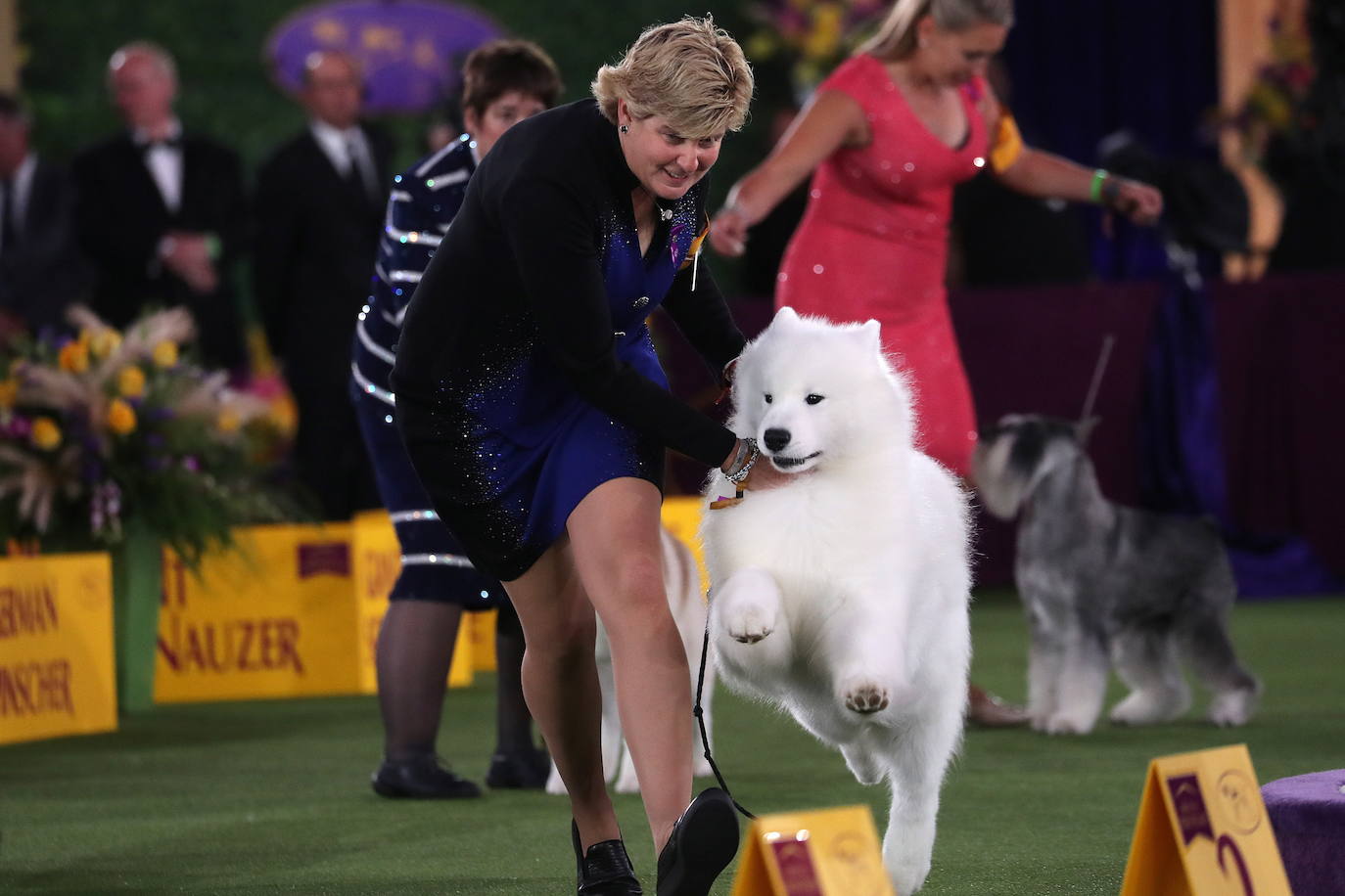 La Gran Manzana acogió la 145 Exposición Canina Anual del Westminster Kennel Club. El ganador, un pequinés apodado 'Wasabi' que enamoró al jurado con su abundante melena. Para su preparación, planchas de pelo, cepillos caradadores, polvos talco y sprays para dar volumen, se convierten en los perfectos aliados de los dueños que quieren que su mascota sea el centro de todas las miradas.