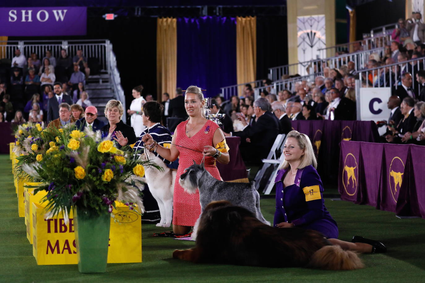 La Gran Manzana acogió la 145 Exposición Canina Anual del Westminster Kennel Club. El ganador, un pequinés apodado 'Wasabi' que enamoró al jurado con su abundante melena. Para su preparación, planchas de pelo, cepillos caradadores, polvos talco y sprays para dar volumen, se convierten en los perfectos aliados de los dueños que quieren que su mascota sea el centro de todas las miradas.