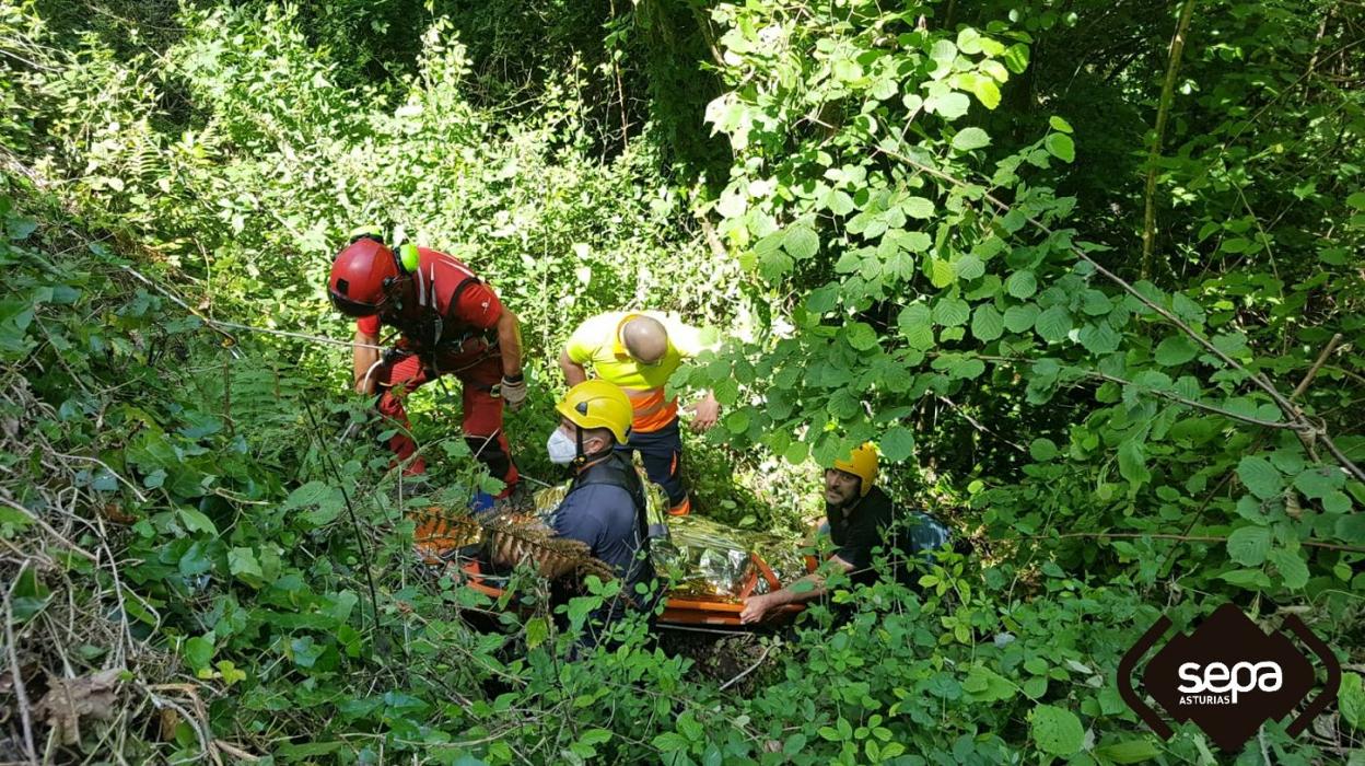 El ciclista se precipitó por un desnivel de veinte metros cuando circulaba por la N-625, en Ponga. 