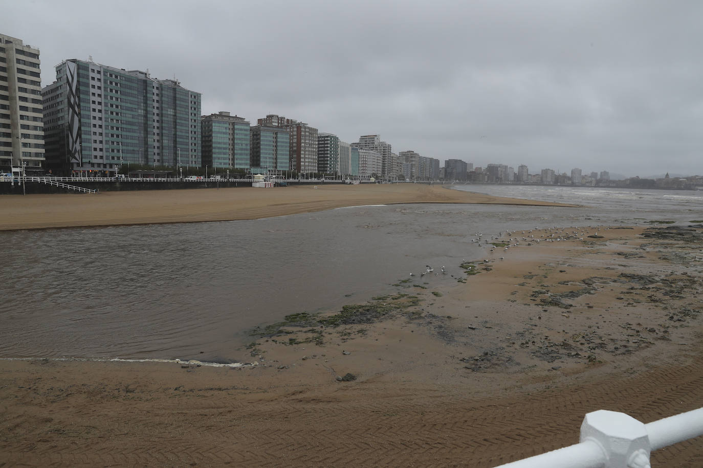 Gijón cierra al baño el tramo entre las escaleras 12 y 15 de la playa de San Lorenzo por los alivios al río Piles provocados por el temporal de lluvias. 