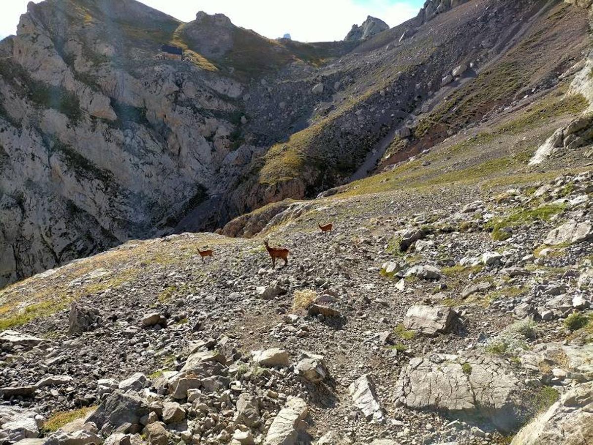 Camino a Collado Jermoso desde la bajada del Pico la Palanca.