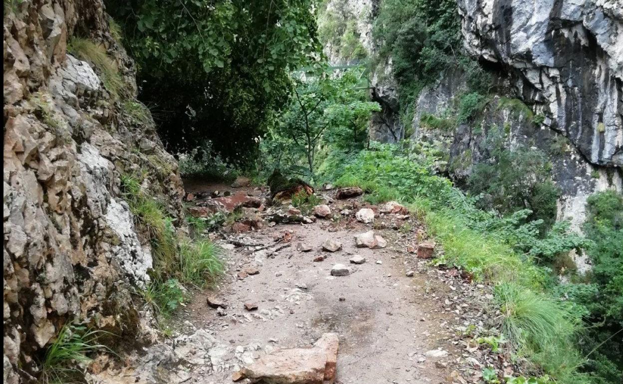 Cierra la ruta del Cares tras caer un árbol