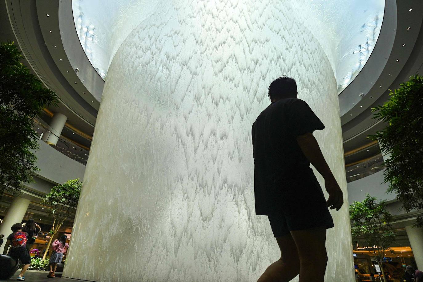 Jewel Changi es un espacio de ocio y entretenimiento que se une al complejo del aeropuerto Changi de Singapur, elegido el mejor del mundo en 2019. Se trata de un homenaje a la ciudad asiática de los edificios futuristas y los jardines inmensos, en el que la luz natural y el verde inundan cada rincón.