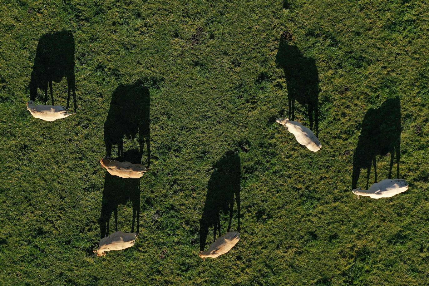 Después de un año de pandemia en el que el mundo ha dado un vuelco, el informe del Panel Intergubernamental de la ONU sobre Cambio Climático ofrece una visión angustiosa de las próximas décadas: desnutrición, inseguridad hídrica y pestilencia.El hambre, la sequía y las enfermedades afectarán a decenas de millones de personas más.