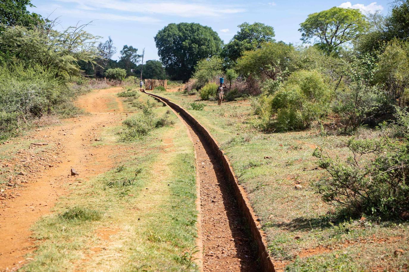 Después de un año de pandemia en el que el mundo ha dado un vuelco, el informe del Panel Intergubernamental de la ONU sobre Cambio Climático ofrece una visión angustiosa de las próximas décadas: desnutrición, inseguridad hídrica y pestilencia.El hambre, la sequía y las enfermedades afectarán a decenas de millones de personas más.