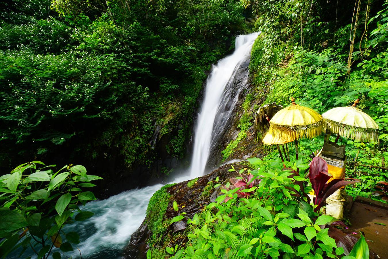 Cascadas de Git Git (Bali): Las cascadas de Git Git en Indonesia, son una parada habitual entre Singaraja y Denpasar, ya que se trata de una de las cascadas más bellas de la isla. Cuenta con una caída de 40 metros sobre una bonita piscina natural rodeada de un entorno con el verde como protagonista.