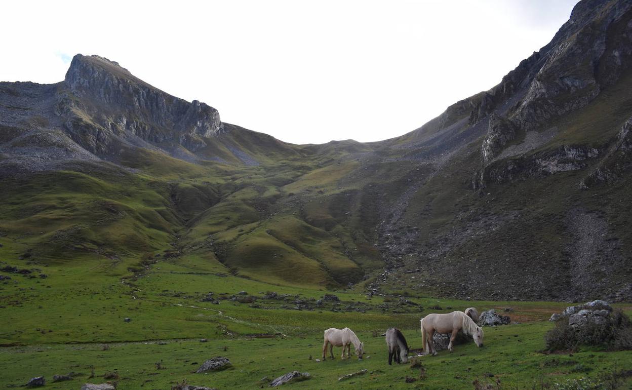 Parque natural de las Ubiñas. 